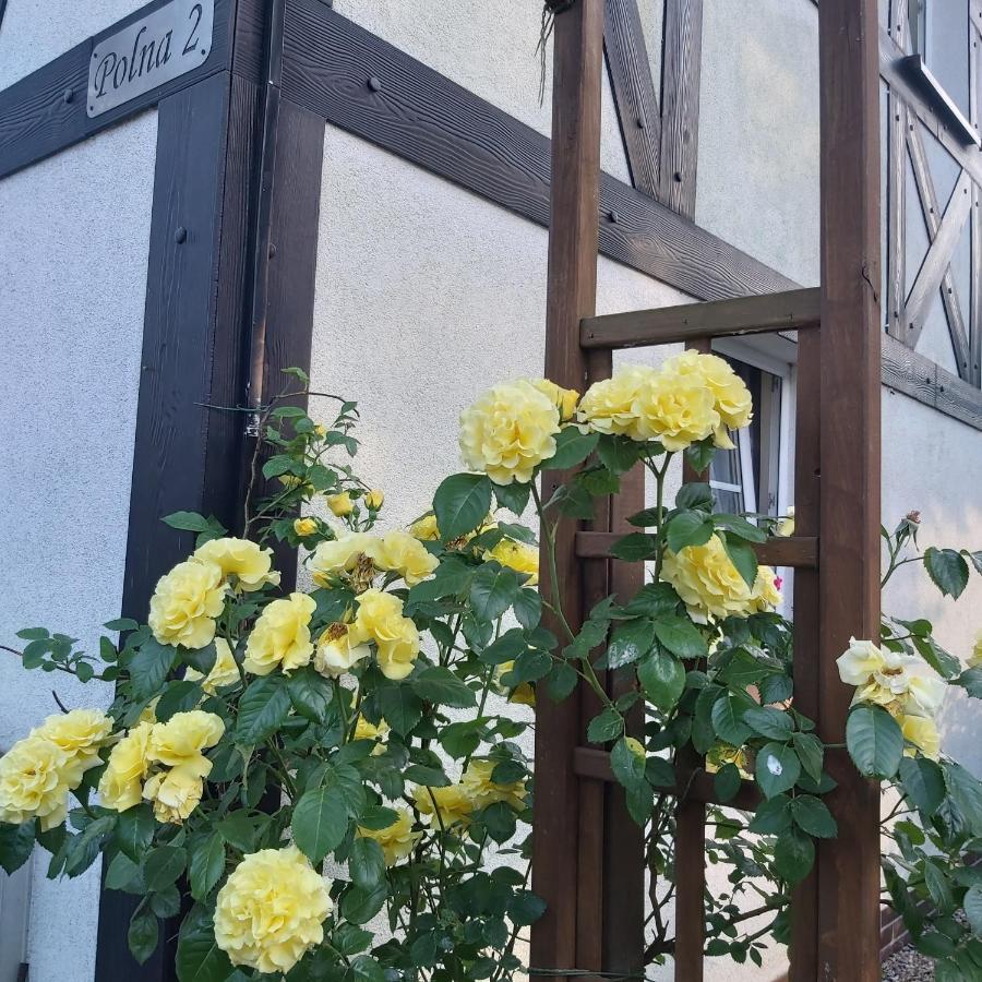 Nadmorskie Apartamenty Ustka Exteriér fotografie