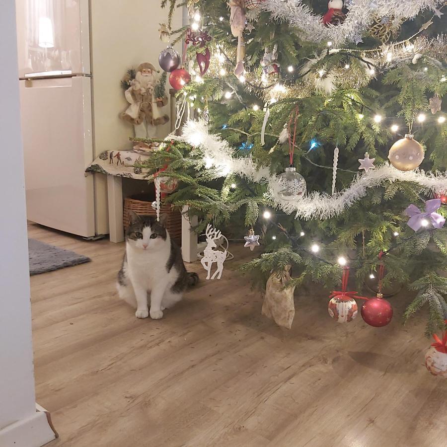 Nadmorskie Apartamenty Ustka Exteriér fotografie